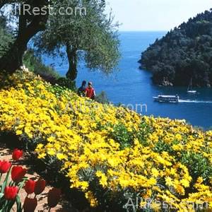 Hotel Splendido 49